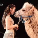 HamidCircus_Camel